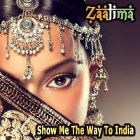Show Me The Way To India Zaalima,Vishai Rangoon Song Download Mp3