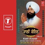 Kali Koyal songs mp3