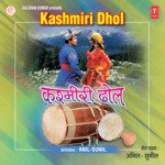 Kashmiri Dhol songs mp3