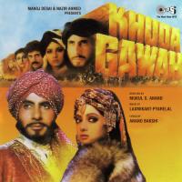 Tu Mujhe Kabool Kavita Krishnamurthy,Mohammed Aziz Song Download Mp3