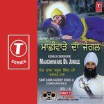 Maachhiware Da Jungle (Vyakhya Sahit) Sant Baba Saroop Singh Ji-Chandigarh Wale Song Download Mp3