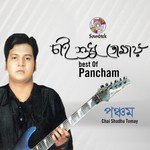 Nirbashone Pancham Song Download Mp3
