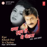 Tera Deewana Hai Yahaan Satya Prakash Song Download Mp3