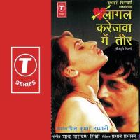 Bada Dukh Debele Pirtiya Ae Baalam Kavita Krishnamurthy Song Download Mp3