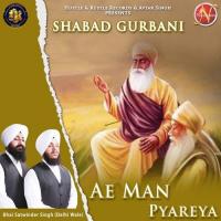 Ae Man Pyareya Bhai Satwinder Singh Song Download Mp3