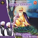 Hum Aadmi Haan Ek Dami (Shabad Gurbani) songs mp3