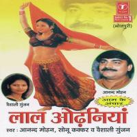 Meetha Ha Bihar Ke Sonu Kakkar,Anand Mohan Pandey,Vaishali Gunjan Song Download Mp3