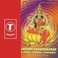 Lakshmi Sahasranamam &039;And Other Stotras songs mp3