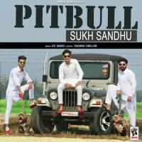 Pitbull Sukh Sandhu Song Download Mp3