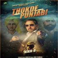 Thokde Punjabi Nikk B Song Download Mp3