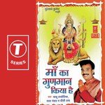 De Do Darshan Pahadawali Maa Babu Rajoriya,Lata Pawar,Preeti Rai Song Download Mp3