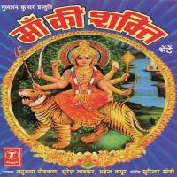 Sheranwali Sheranwali Dil Se Jo Pukare Mahendra Kapoor Song Download Mp3