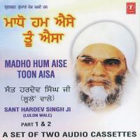 Madho Hum Aise Toon Aisa - Part-1 Sant Baba Hardev Singh Ji-Lulon Wale Song Download Mp3