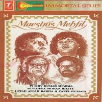 Teen Taal Pt. Vishwa Mohan Bhatt Song Download Mp3