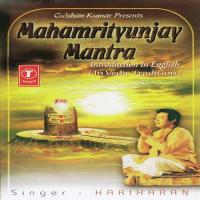 Swasti Vaachan, Viniyog, Sankalp, Nyaas, Dhyaan, Mahamrityunjay Mantra Hariharan Song Download Mp3