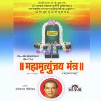 Mahamrityunjay Mantra songs mp3