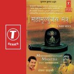 Mahamrityunjay Mantra Shankar Sahani Song Download Mp3