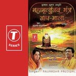 Shri Mahamrutunjya Mantra Anuradha Paudwal Song Download Mp3