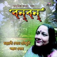 Srabon Jokhon Chandrani Som Chowdhury Song Download Mp3