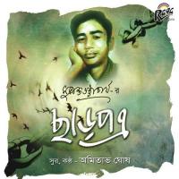 Prithibiki Aaj Amitabha Ghosh Song Download Mp3