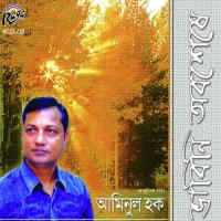 Bhabini Abasheshe songs mp3