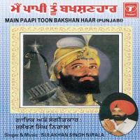 Main Paapi Toon Bakshan Haar songs mp3