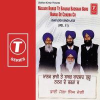Malakh Bhago Te Baabar Badshah Guru Nanak De Bhai Joga Singh Jogi,Kashmir Singh Komal,Sulakhan Singh Riyad,Makkhan Song Download Mp3