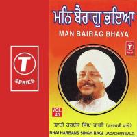 Man Bairag Bhaya (Vol. 40) songs mp3
