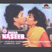 Mera Naseeb songs mp3