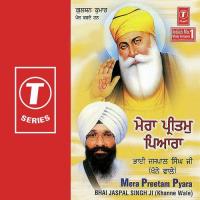 Mera Preetam Pyara songs mp3