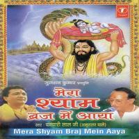 Mera Shyam Braj Mein Aaya songs mp3