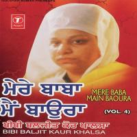 Mere Baba Main Baoura (Vol. 4) songs mp3