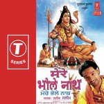 Jai Shiv Shankar Saleem Song Download Mp3