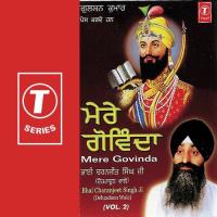 Mere Govinda (Vol. 2) songs mp3