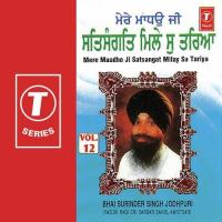 Mere Maadho Ji Satsangat Milay Su Tariya (Vol. 12) songs mp3