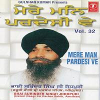 Mere Man Pardesi Ve (Vol. 32) songs mp3