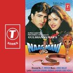 Dil Toot Gaya Tha Shabbir Kumar,Anuradha Paudwal Song Download Mp3