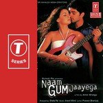 Us Ladki Pe Dil Aaya Anuradha Paudwal,Kumar Sanu Song Download Mp3