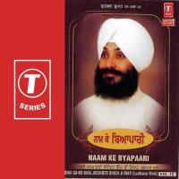 Naam Ke Byapaari (Vol. 12) songs mp3