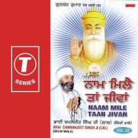 Naam Mile Taan Jivan (Vol. 33) songs mp3