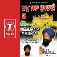 Naam Sada Sukhdai - Vol.14 songs mp3