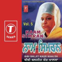 Vaheguru Vaheyguru Bibi Baljit Kaur Khalsa Song Download Mp3