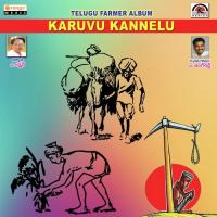 Karuvu Kannelu songs mp3