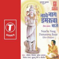 Nache Naag Damruwa Baje songs mp3