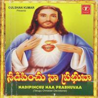 Nadipinchu Naa Prabhuvaa songs mp3