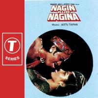 Nagin Aur Nagina songs mp3