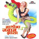 Nagoba Jawan Jhala songs mp3