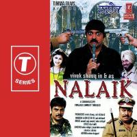 Nalaik Hai -Remix Jaspinder Narula,Baba Sehgal,Shankar Sahani Song Download Mp3