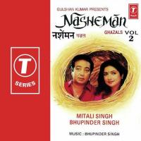 Nasheman Ghazals (Vol. 2) songs mp3