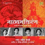 Sant Bhar Pandharit Mahesh Kale Song Download Mp3